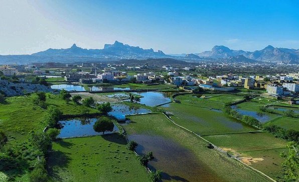   تنومة