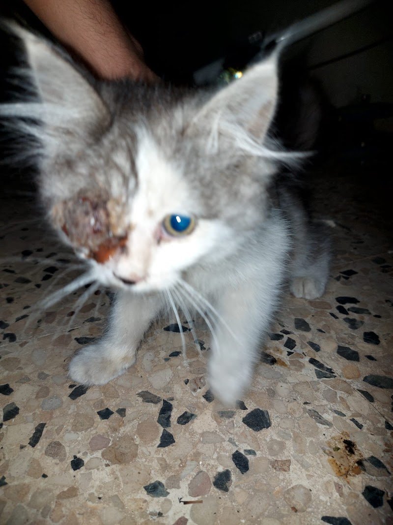 صيدلية العسيري