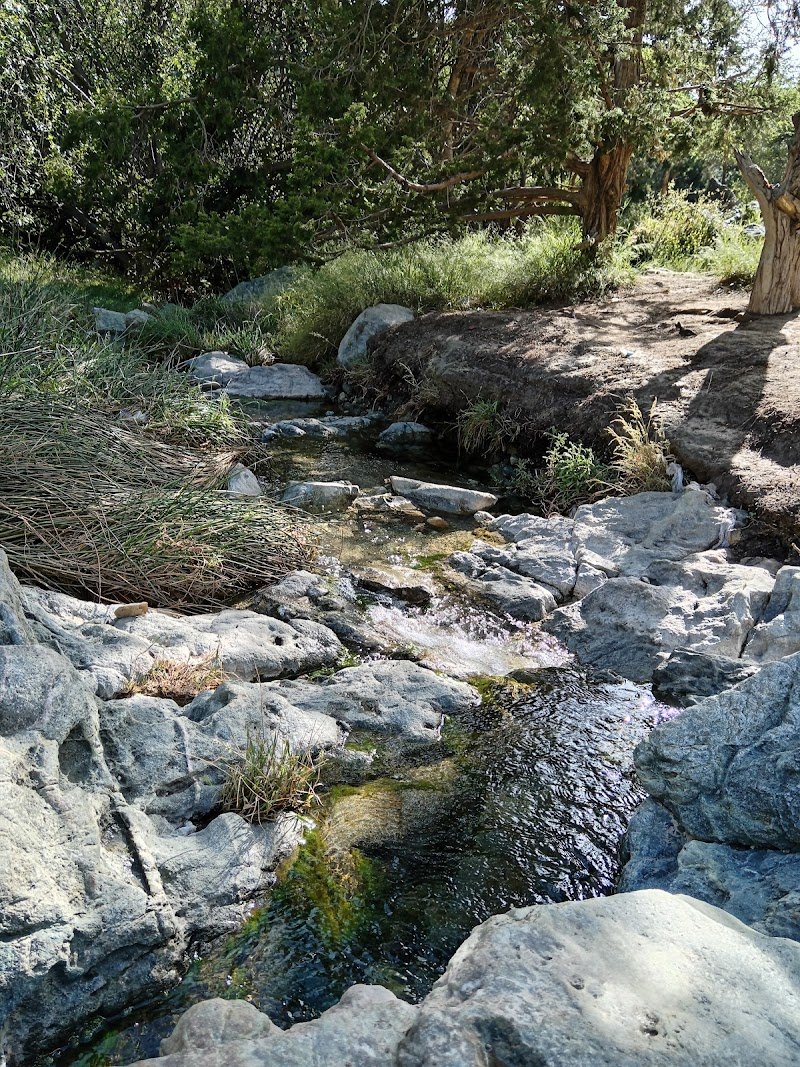 وادي عين زرعه