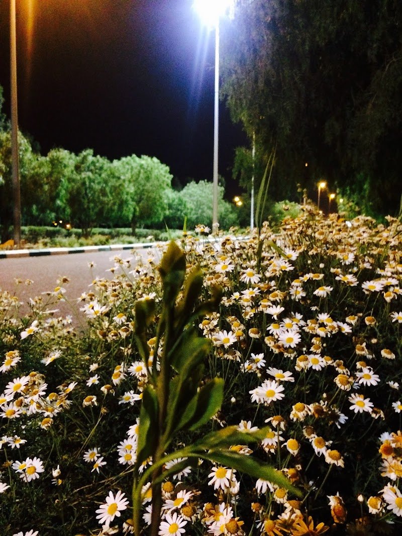 منتزه مرحبين