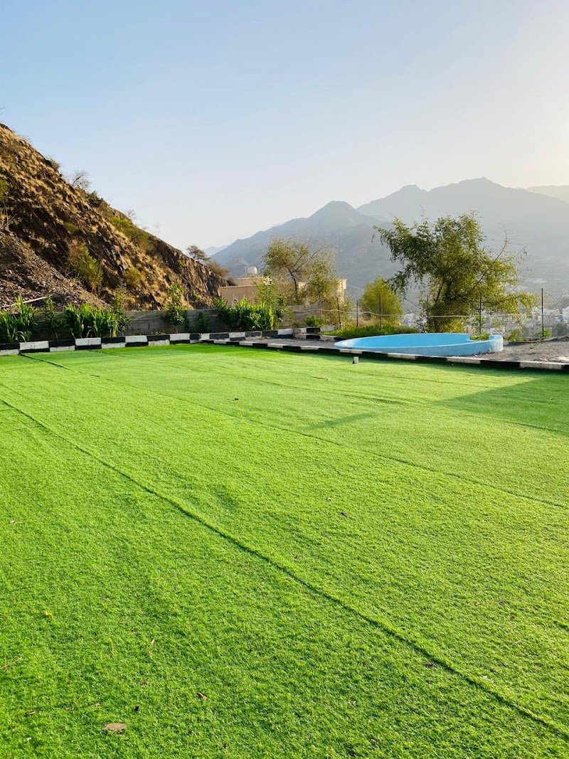 استراحة اليوم