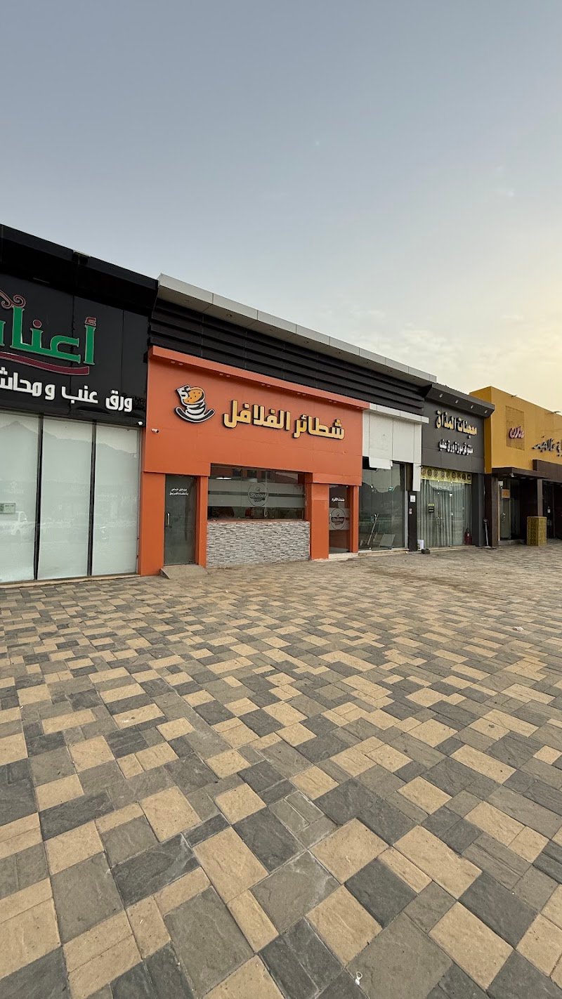 شطائر الفلافل