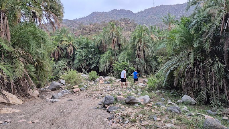 شلال القرية بمركز كحلا