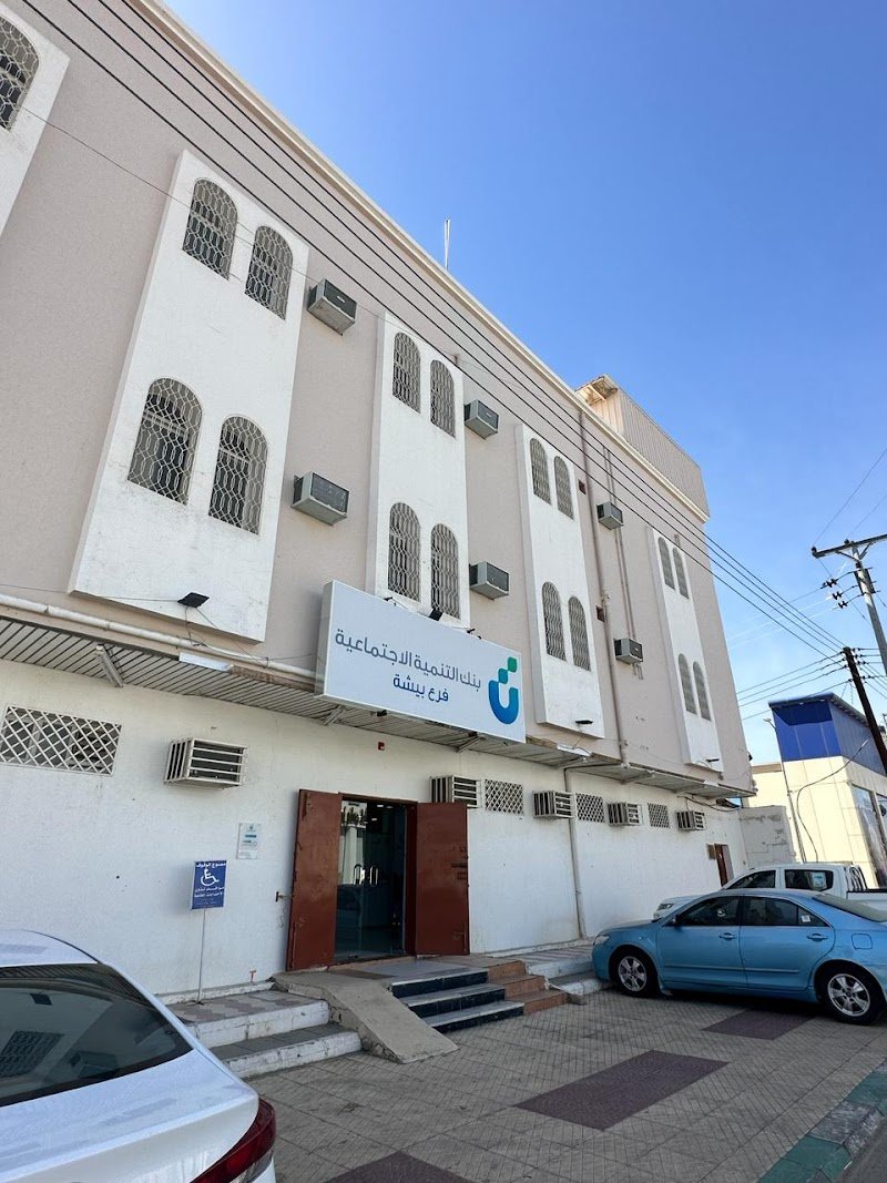 بنك التنمية الاجتماعية